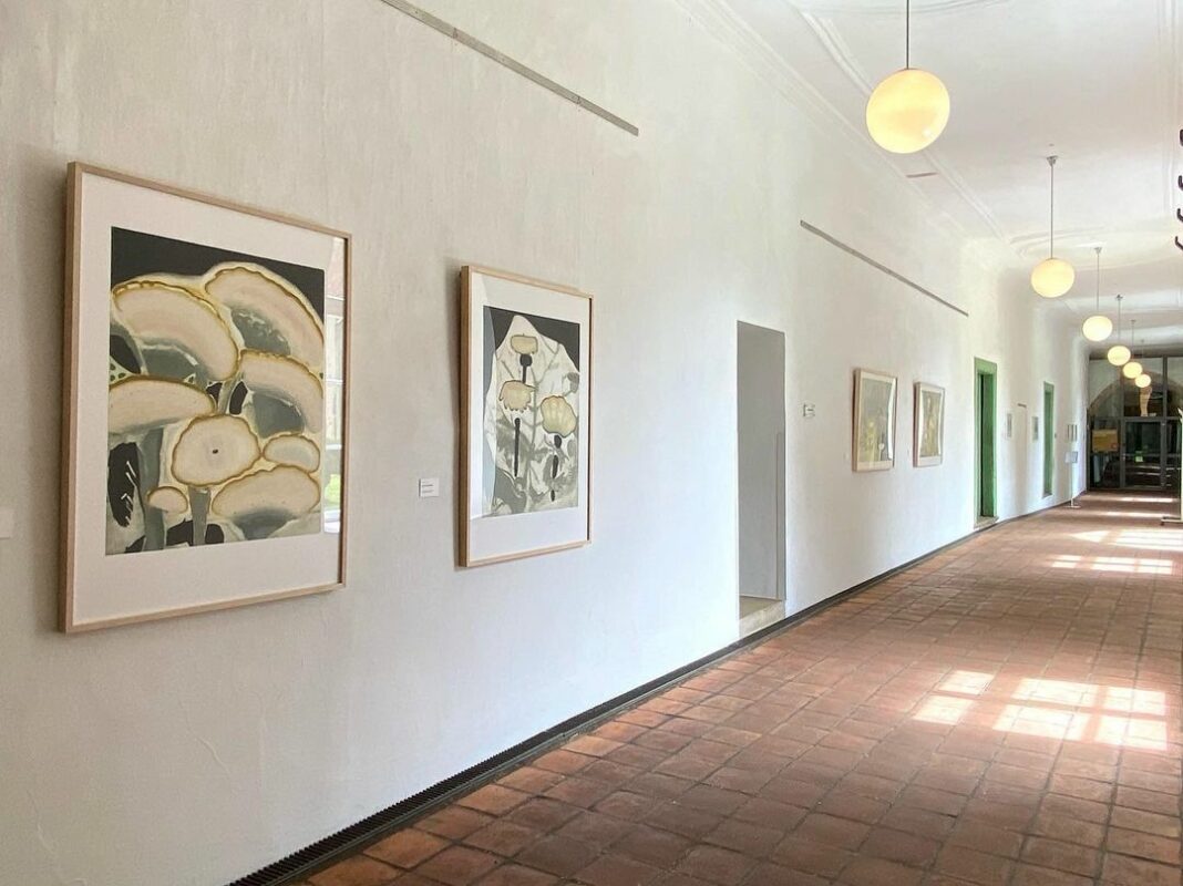 Rabley Gallery