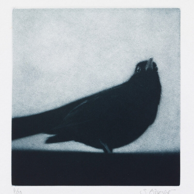 Rabley Gallery