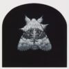 Nut-tree Tussock Moth - Sarah Gillespie