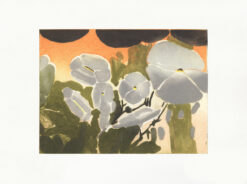 Collagraph print by Katherine Jones RA titled 'Of Creeping and Ramping Habit'
