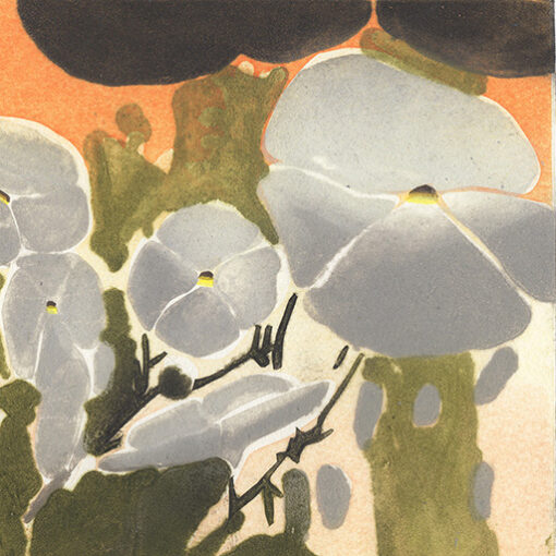 Katherine Jones RA - Of Creeping and Ramping Habit