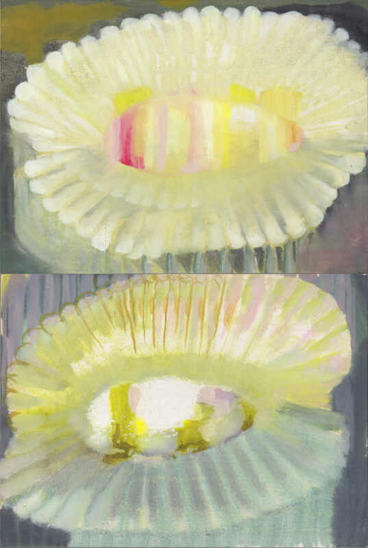 flower forms painted by Katherine Jones RA and featured by Rabley gallery at the London art fair