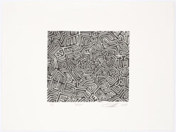 Alternative view of Peter Randall-Page RA - Bebop