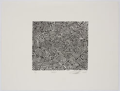 limited edition print by sculptor Peter Randall-Page RA. A signature carved abstract pattern