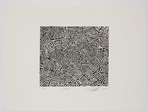 limited edition print by sculptor Peter Randall-Page RA. A signature carved abstract pattern