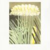 Contemporary Print on exhibition at Gainsboroguh House Katherine Jones RA Year After Year, 2024 Collagraph 45 x 34.8 cm Edition of 25