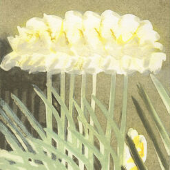 Collograph artwork by Katherine Jones titled - 'Year after Year, collograph, detail