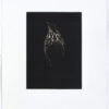 Mezzotint by Sarah Gillespie of songthrush in warm sepia black ink