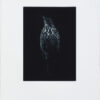Full print - Sarah Gillespie Thrush in blue black ink. limited edition mezzotint