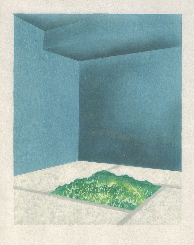 Prudence Ainslie IRORI - SHINRIN (sunken hearth - forest)‬‬‬ Year 2022 - Contemporary limited edition print
