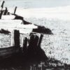 'Britannia' an intaglio and monoprint print by Emma Stibbon RA