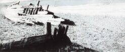 'Britannia' an intaglio and monoprint print by Emma Stibbon RA