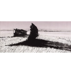 Alternative view of Emma Stibbon RA - Dispatch