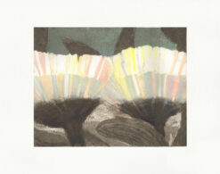 A contemporary print by Katherine Jones of a flower