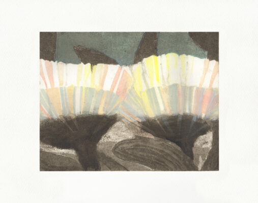 A contemporary print by Katherine Jones of a flower