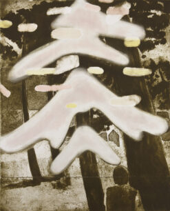 limited edition print by Katherine Jones RA of a Scotts pine