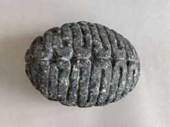 Peter Randall-Page RA, stone sculpture, a little bit of infinity, hand carved Cornish Serpentine
