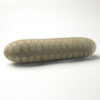 Peter Randall-Page RA, pebble sculpture, lunulla II