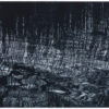 Sarah Gillespie, monochrome mezzotint of reeds and reflections of trees in the water from studies made at Slapton Ley in Devon