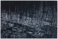 Sarah Gillespie, monochrome mezzotint of reeds and reflections of trees in the water from studies made at Slapton Ley in Devon