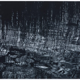 Sarah Gillespie, monochrome mezzotint of reeds and reflections of trees in the water from studies made at Slapton Ley in Devon