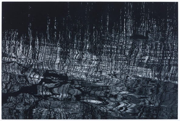 Sarah Gillespie, monochrome mezzotint of reeds and reflections of trees in the water from studies made at Slapton Ley in Devon