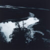 Sarah Gillespie All that I have is a River, 2025 Mezzotint Plate 40 x 40cm Paper 51.5 x 20cm Edition 25 - tree reflecting in the river