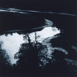 Sarah Gillespie All that I have is a River, 2025 Mezzotint Plate 40 x 40cm Paper 51.5 x 20cm Edition 25 - tree reflecting in the river