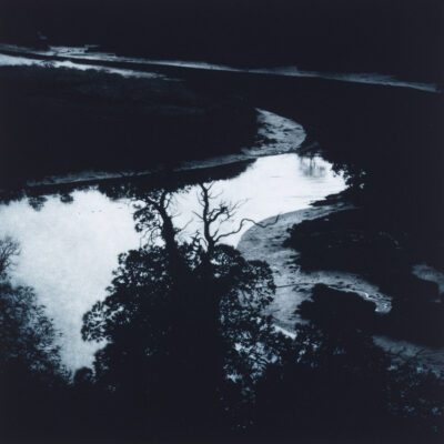 Sarah Gillespie All that I have is a River, 2025 Mezzotint Plate 40 x 40cm Paper 51.5 x 20cm Edition 25 - tree reflecting in the river