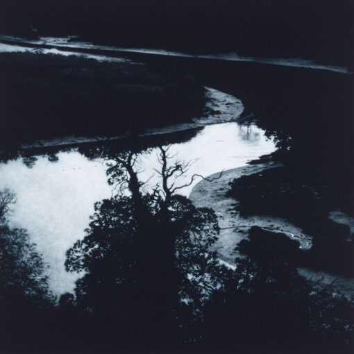 Sarah Gillespie All that I have is a River, 2025 Mezzotint Plate 40 x 40cm Paper 51.5 x 20cm Edition 25 - tree reflecting in the river
