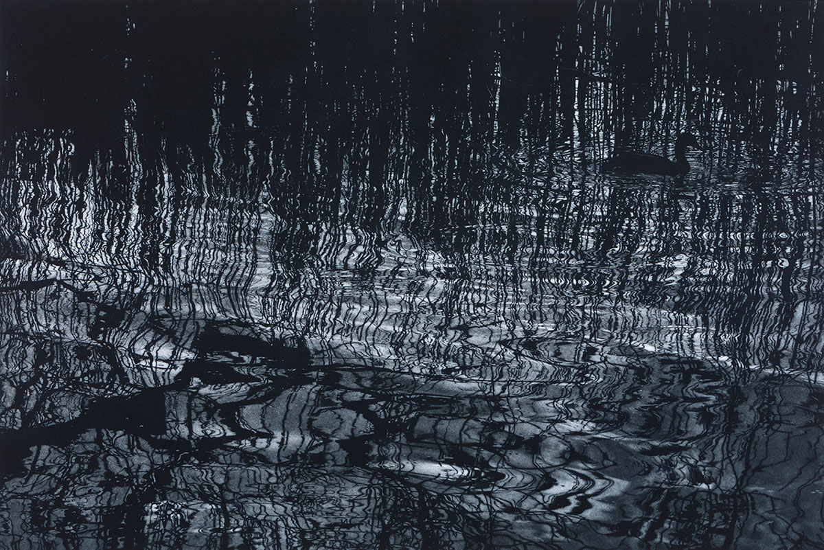 Sarah Gillespie - I saw the Moon, wandering asleep among the reeds