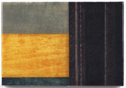 Contemporary abstract print - Paul Furneaux, Rain Inside, 2022, Resin over mokuhanga, 21 x 32cm