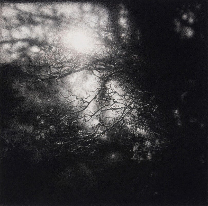 Sarah Gillespie, Woodsmoke, Mezzotint