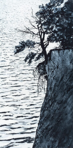 New Edition Contemporary fine art print by Emma Stibbon 'Storm Damage' master 48.5 x 54cm Ed 35