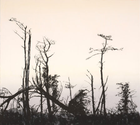 Emma Stibbon RA - Storm Damage