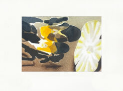 Katherine Jones RA - Secrets of the Sun