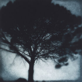 Sarah Gillespie - Breton Pine