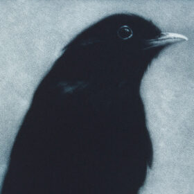 Sarah Gillespie - Orpheus (Blackbird) detail