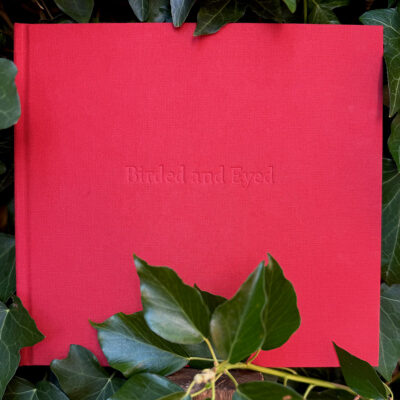 Sarah Gillespie 'Birded and Eyed' book, front cover