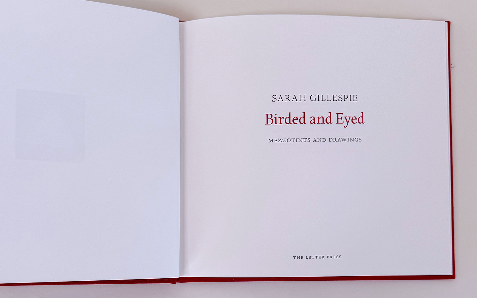 Sarah Gillespie 'Birded and Eyed' book
