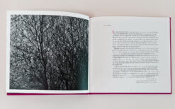 Sarah Gillespie 'Birded and Eyed' book