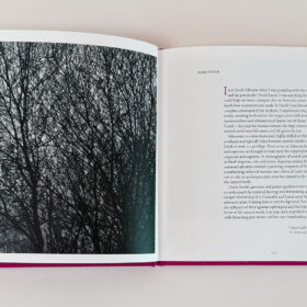Sarah Gillespie 'Birded and Eyed' book