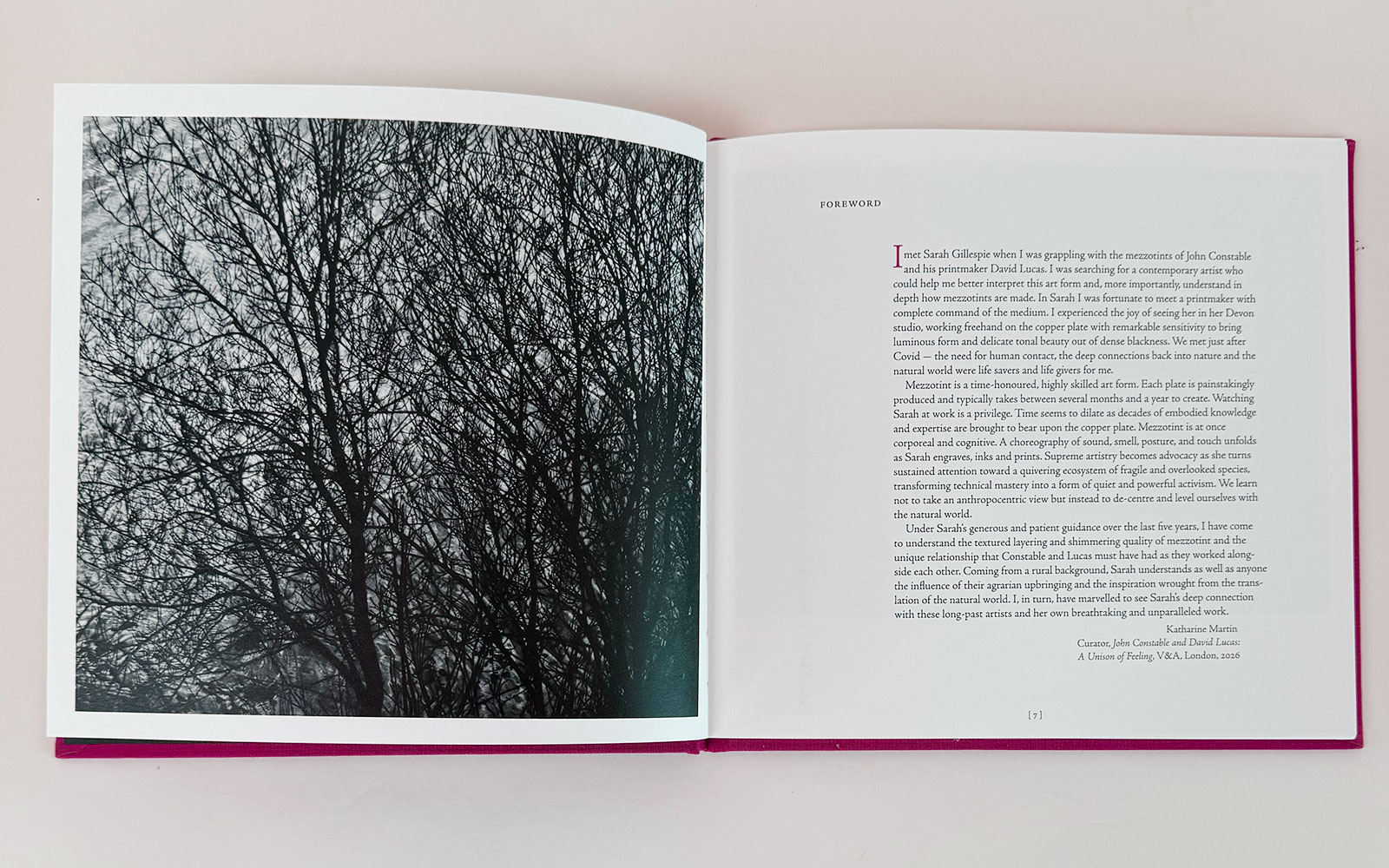 Sarah Gillespie 'Birded and Eyed' book