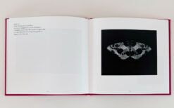 Sarah Gillespie 'Birded and Eyed' book
