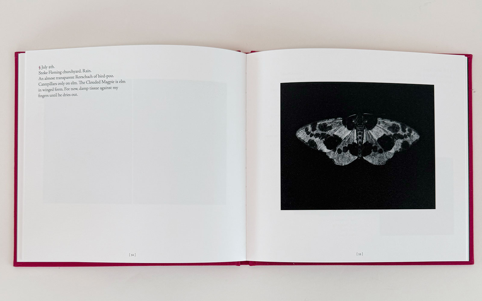 Sarah Gillespie 'Birded and Eyed' book