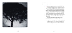 Sarah Gillespie 'Birded and Eyed' book