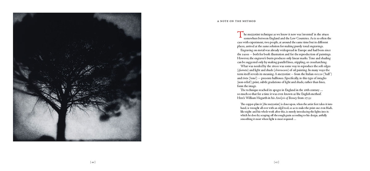 Sarah Gillespie 'Birded and Eyed' book