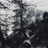 Emma Stibbon RA, Grand Balcon Nord 37 x 52cm, Limited edition print of Chamonix mountain range and trees in black and white with hand finishing. Edition of 35, 2022