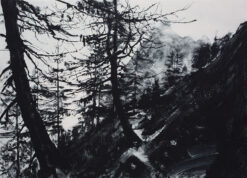 Emma Stibbon RA, Grand Balcon Nord 37 x 52cm, Limited edition print of Chamonix mountain range and trees in black and white with hand finishing. Edition of 35, 2022