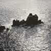 Emma Stibbon RA, Lands End, Polymer gravure with hand colouring 62.5 x 47cm Edition 35. Limited edition print of sea and pier on black and white